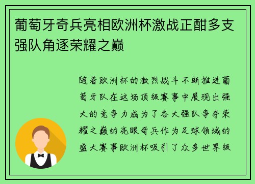 葡萄牙奇兵亮相欧洲杯激战正酣多支强队角逐荣耀之巅
